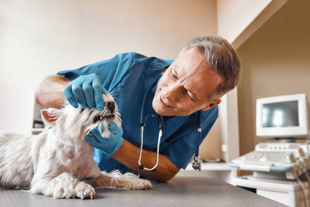 Best 24-Hour Emergency Dentist in Whiteville, NC